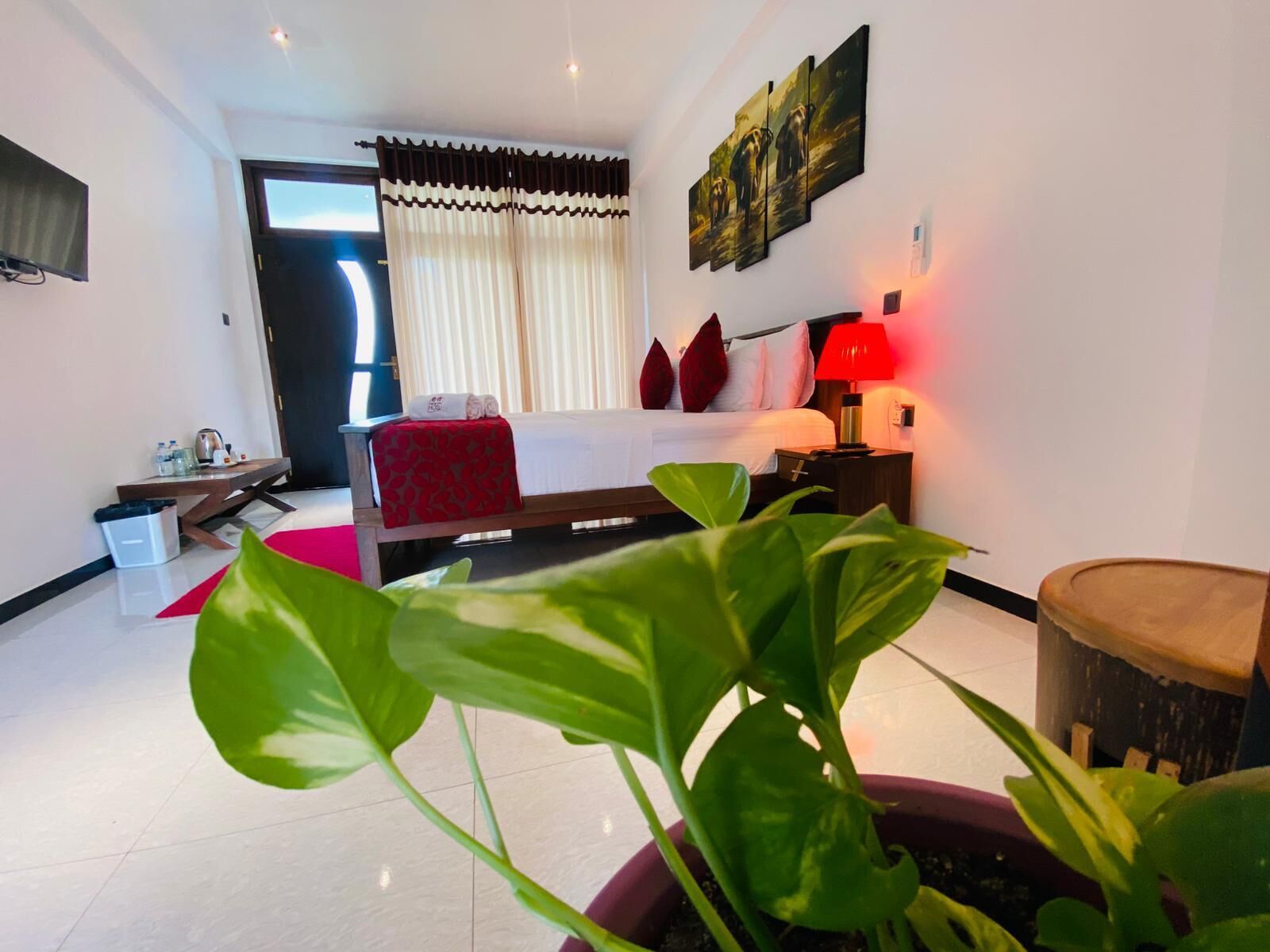 A hotel room with a bed, a bedside table with a lamp, a small table with a kettle, a trash bin, and a large potted plant.