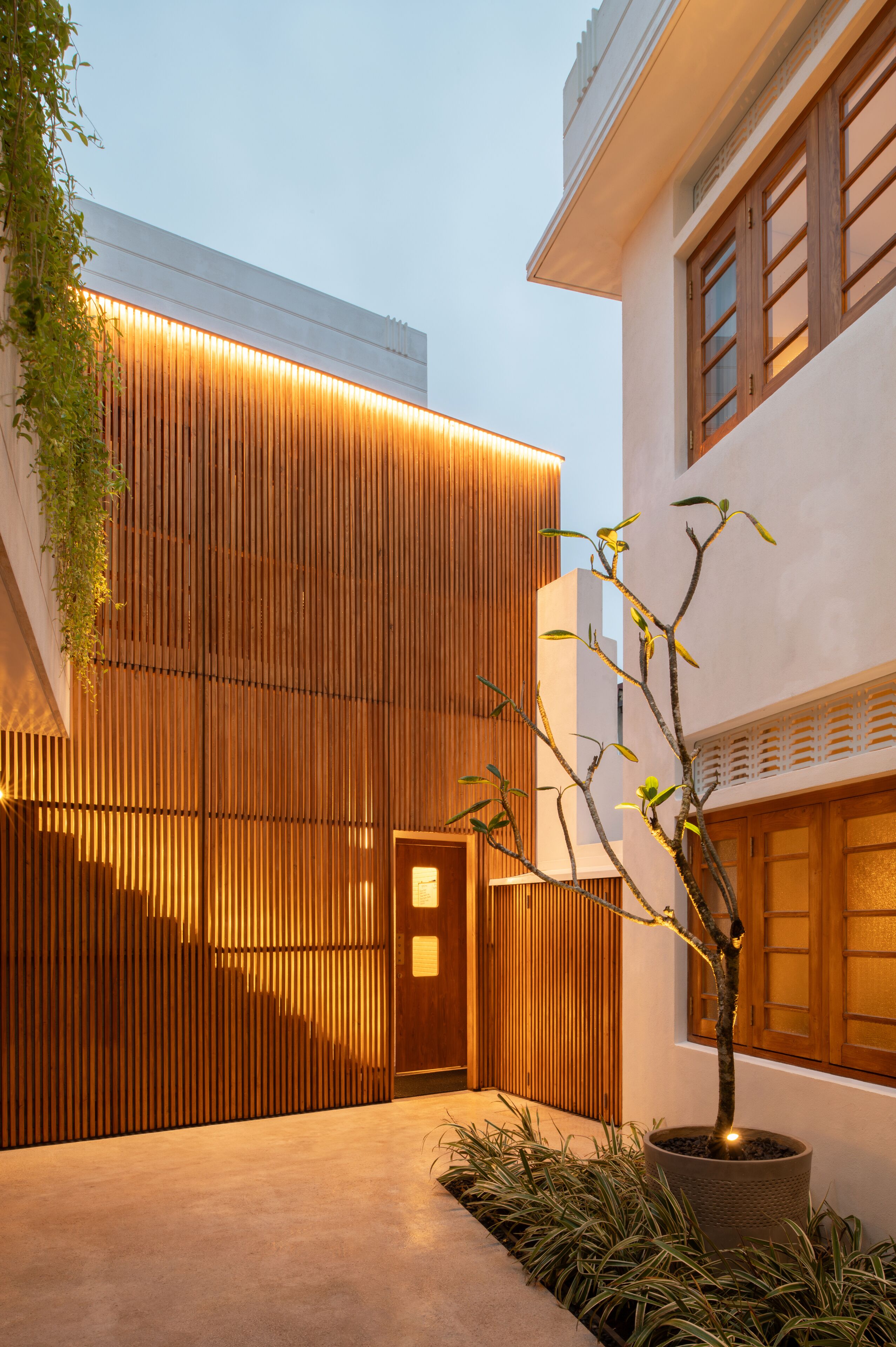 A modern building with a wooden facade and a potted tree in the foreground.