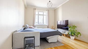 1 slaapkamer, een strijkplank/strijkijzer, gratis wifi, beddengoed
