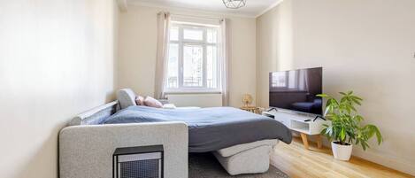 1 bedroom, iron/ironing board, free WiFi, bed sheets