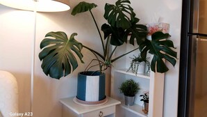 A room with a white nightstand, a lamp, and a potted monstera plant. - Luxury Apartment in Dickson, Canberra (Dickson)