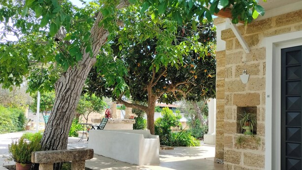 A courtyard with a stone bench, a potted plant, and a wall-mounted light fixture. - Italy Apulia Salento, Lecce, Ancient villa countryside, swimming pool relaxation (parabita)