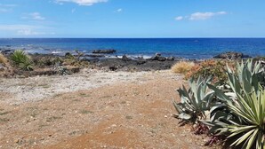 A coastal landscape with rocky terrain and sparse vegetation. - La Falaise Seafront Villa (Flic En Flac)