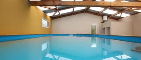 An indoor swimming pool with a wooden ceiling and walls, a blue pool floor, and a door leading to another room.