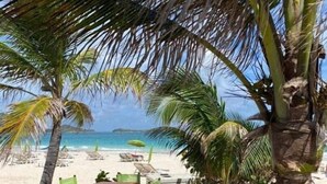 Una spiaggia con un tavolo e sedie di legno, palme e vista sull'oceano.