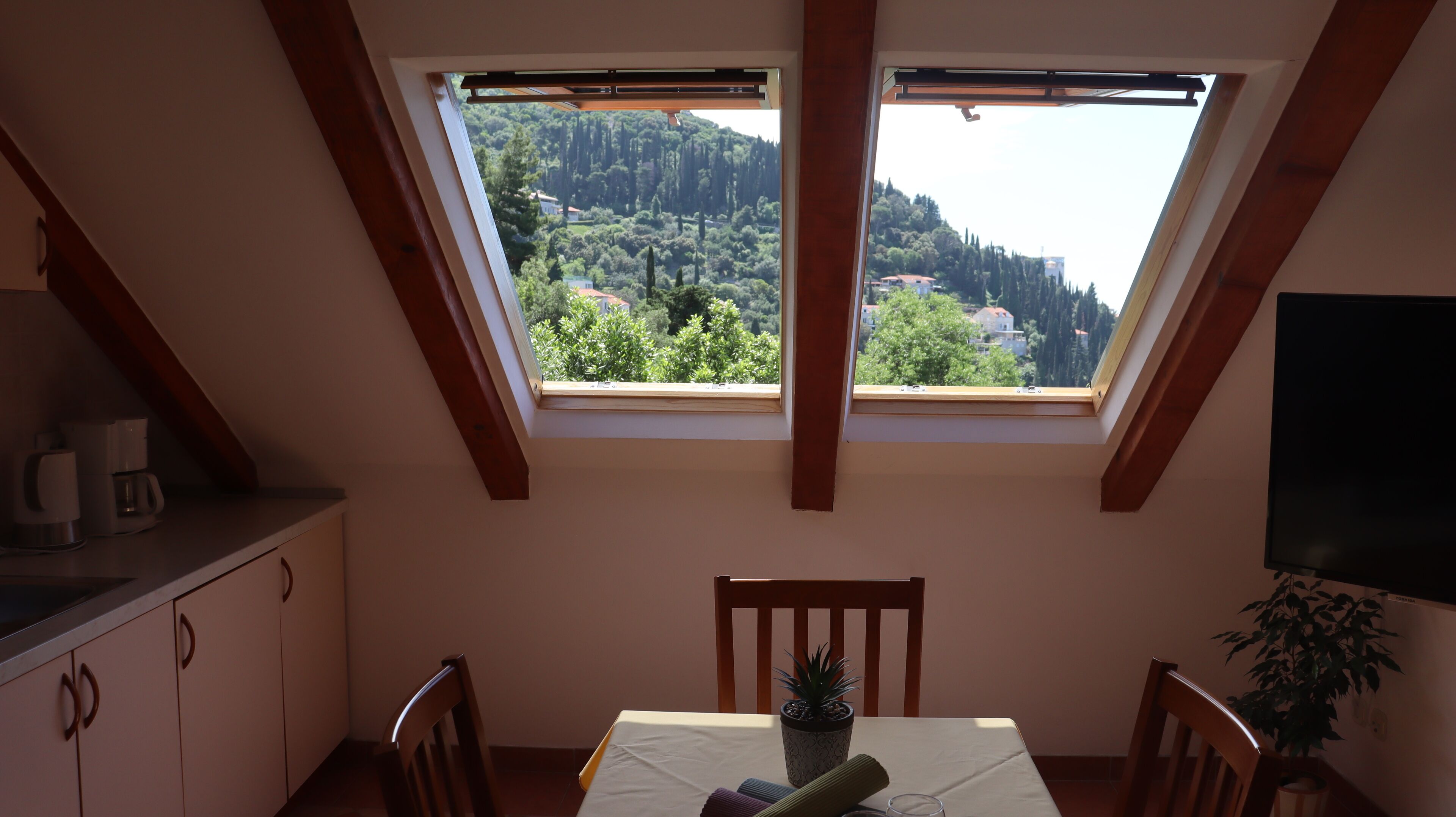 A room with a skylight, a table with chairs, a potted plant, and a flat-screen TV.