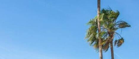 حمّام سباحة خارجي