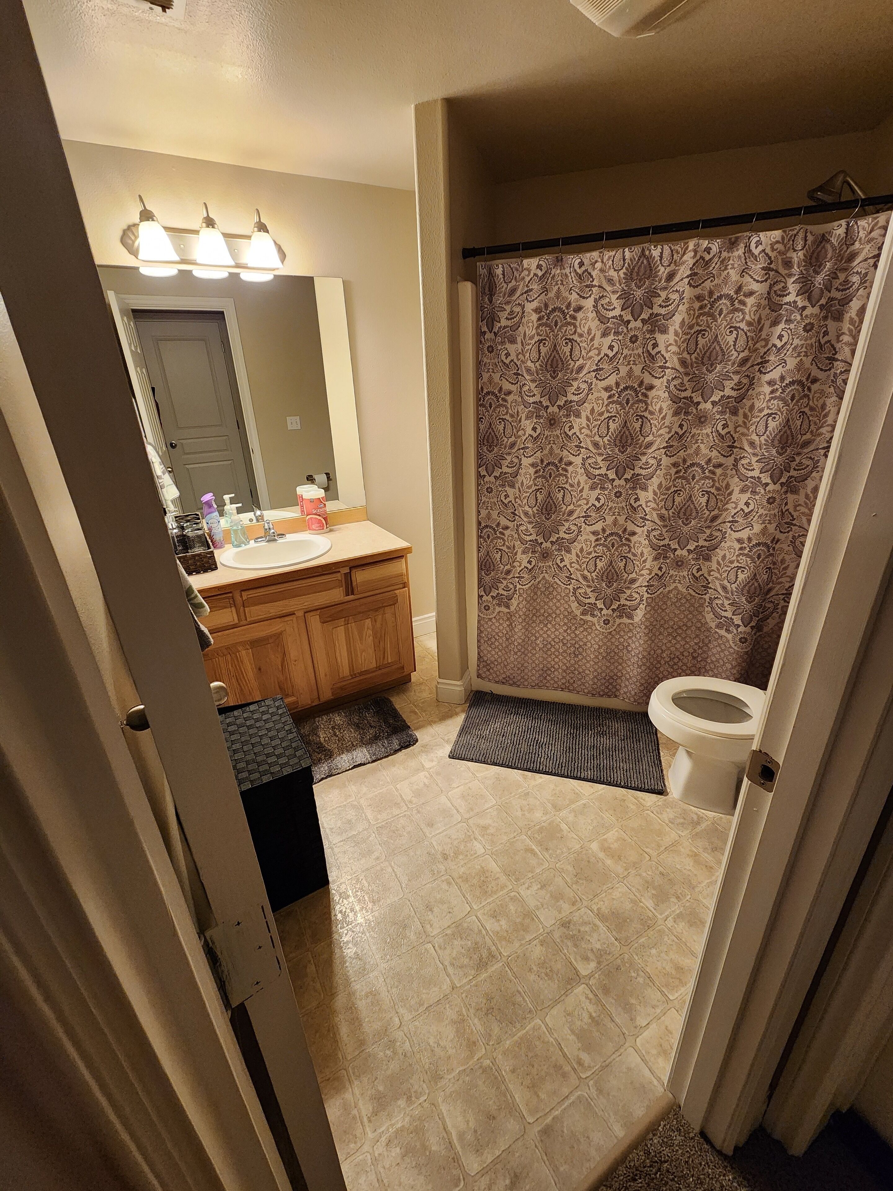 Hair dryer, towels, toilet paper
