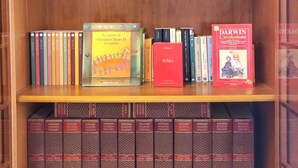 A bookshelf with multiple rows of books, including legal texts and a few novels. - Aria - studio in center  (Tropea)