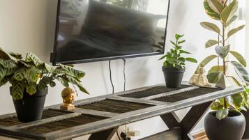 Televisión LCD 50 pulgadas con canales de televisión por cable