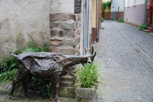 Sehr Schöne Wohnung mit herrlichem Rheinblick vom Balkon