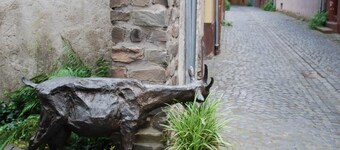 Very nice apartment with a wonderful view of the Rhine from the balcony