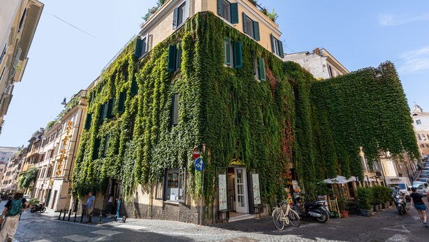 A building with a green ivy-covered facade, a visible entrance, and a sign that reads "Hotel". - Domus Luxury Suite  (Rome)