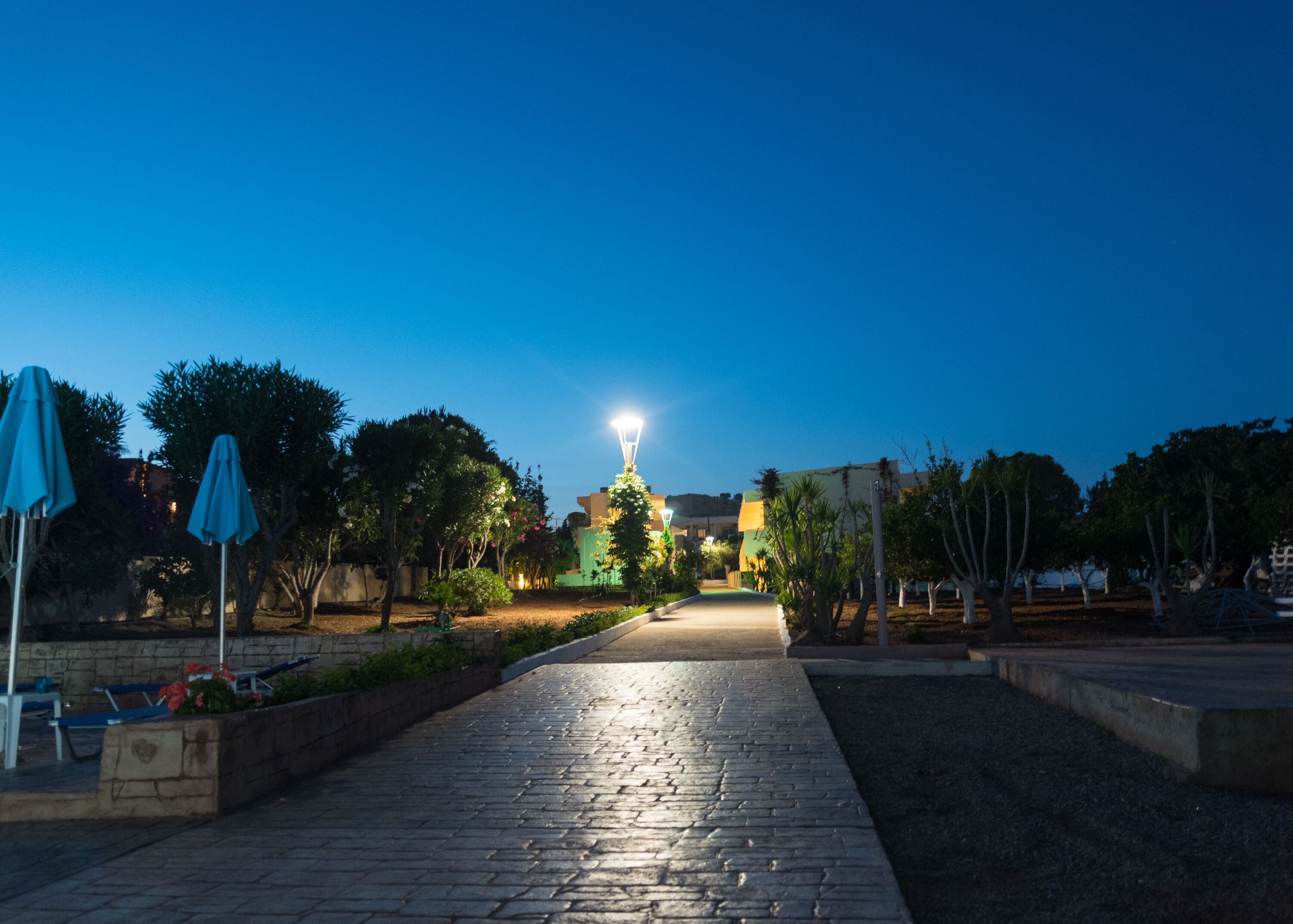 Foto - Amaryllis front beach hotel