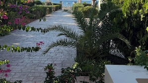 A paved pathway lined with flowering plants and greenery, leading to a building with a view of the sea. - Amaryllis Front Beach Hotel (Rhodes)