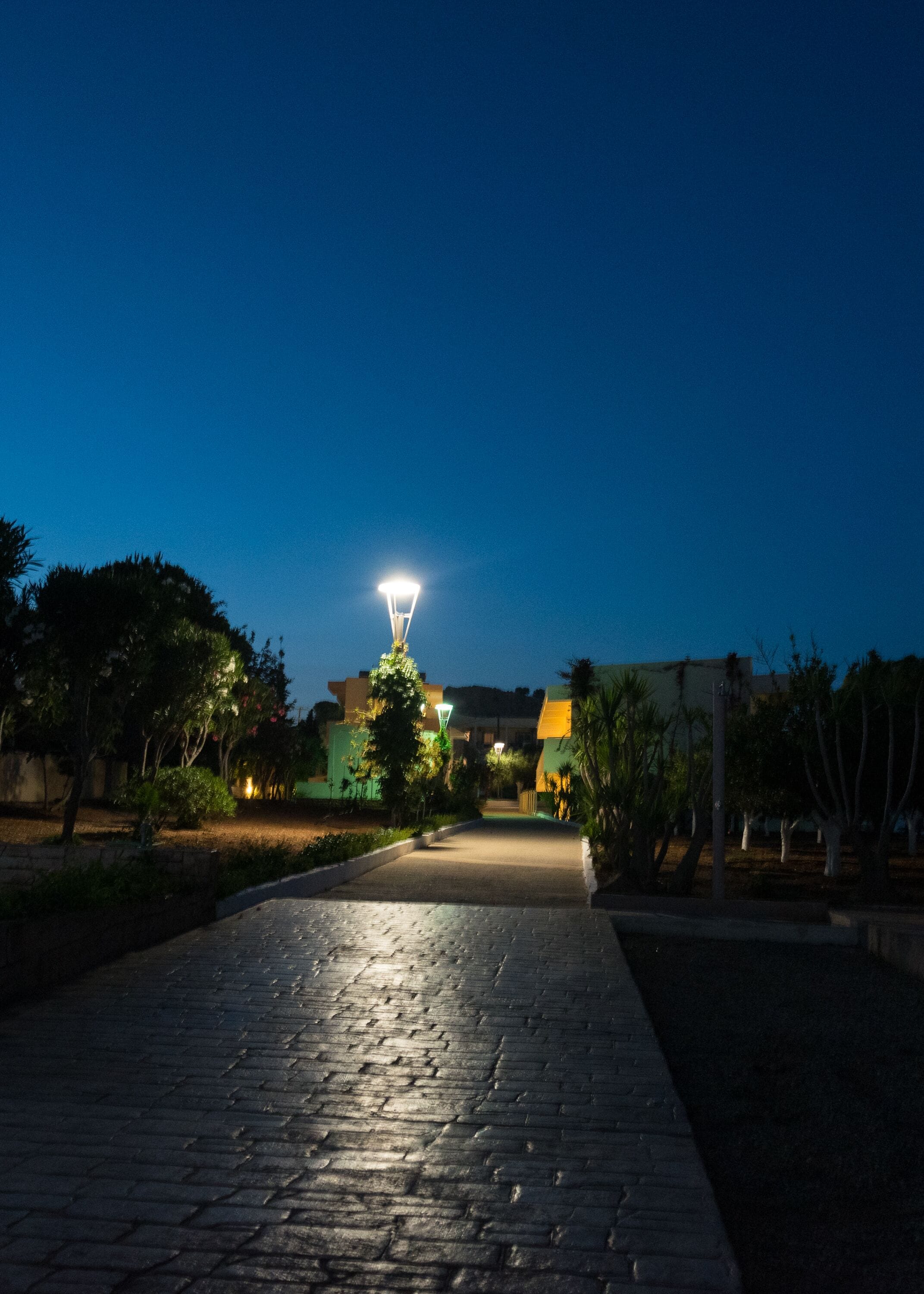 Foto - Amaryllis front beach hotel