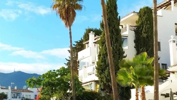 Une rue bordée de palmiers et de bâtiments blancs dotés de balcons.