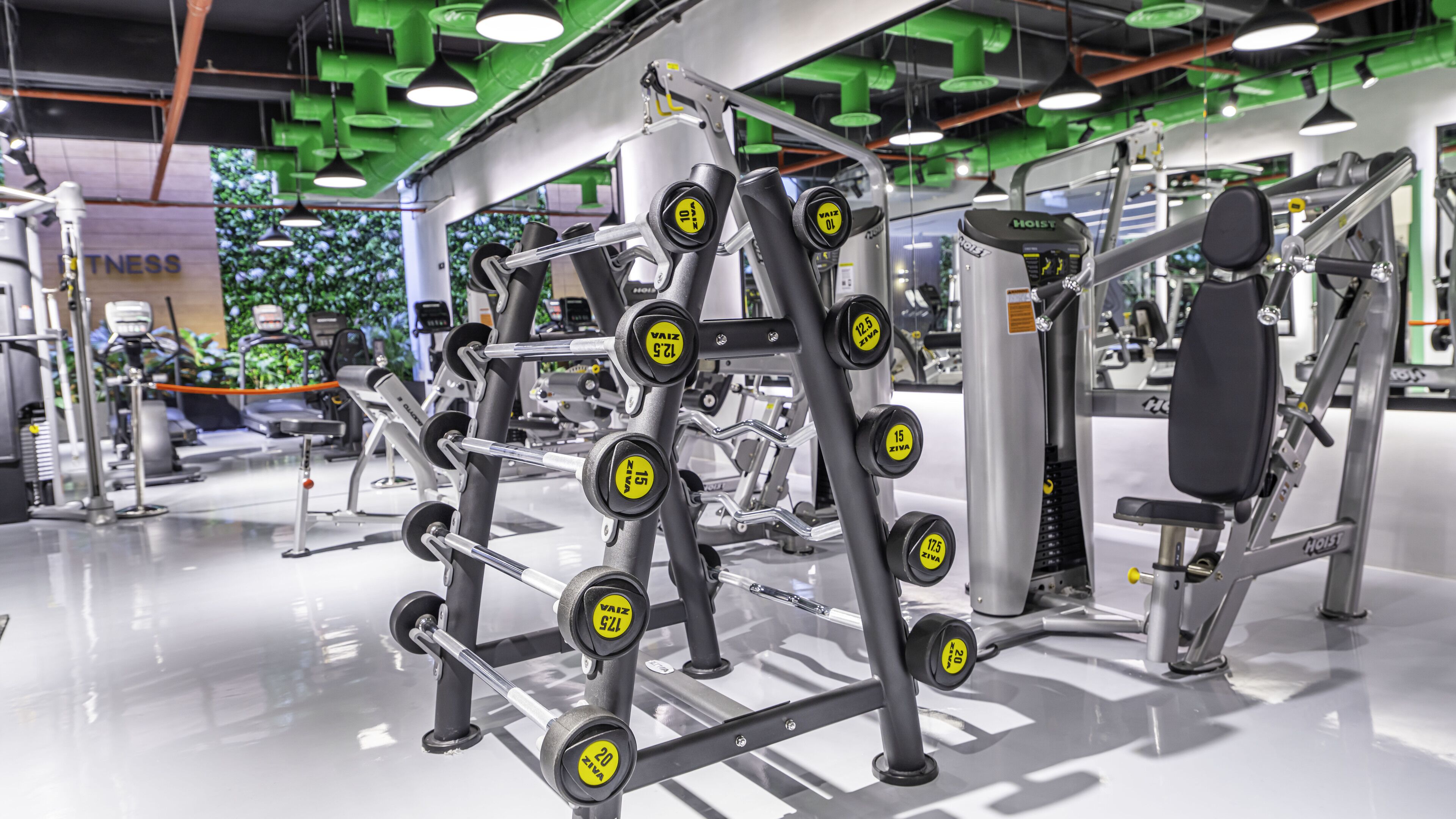 Un gimnasio con diverso equipamiento para levantamiento de pesas, incluyendo una jaula para sentadillas y mancuernas.