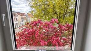 Ein Fenster mit Blick auf ein Gebäude und einen Baum mit rosa Blüten.