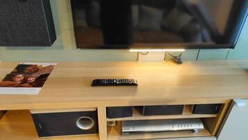 Television