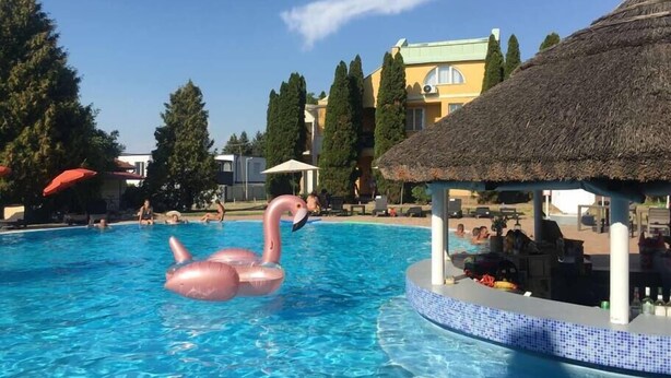 En swimmingpool med en lyserød flamingo flyder, omgivet af liggestole og parasoller, med bygninger og træer i baggrunden.