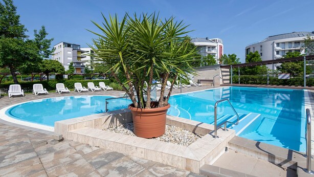 Una piscina con sillones de descanso y una planta grande en el centro.