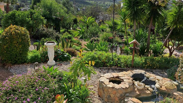 A garden with a variety of plants, a stone fountain, and a small pond. - Cosy country cottage with  plunge pool & bbq set in the peaceful countryside,


 (Sb de messines Silves)
