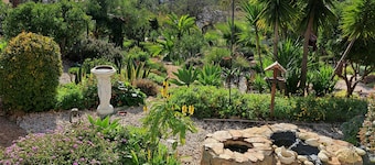 Cosy country cottage with plunge pool & bbq set in the peaceful countryside,