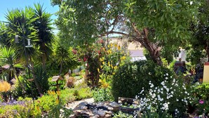 A garden with a variety of plants and a stone fire pit. - Cosy country cottage with  plunge pool & bbq set in the peaceful countryside,


 (Sb de messines Silves)