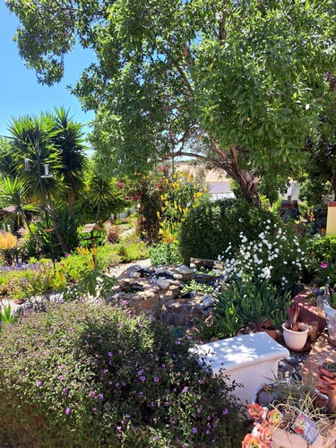 Cosy country cottage with  plunge pool & bbq set in the peaceful countryside,


