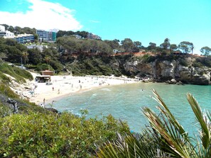 Playa en los alrededores 