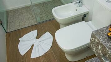 A bathroom with a toilet, bidet, and a shower area.