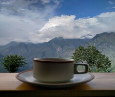 A cup on a saucer with a mountain view in the background.