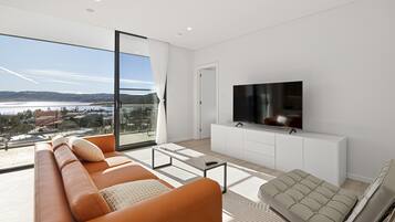 Flat-screen TV