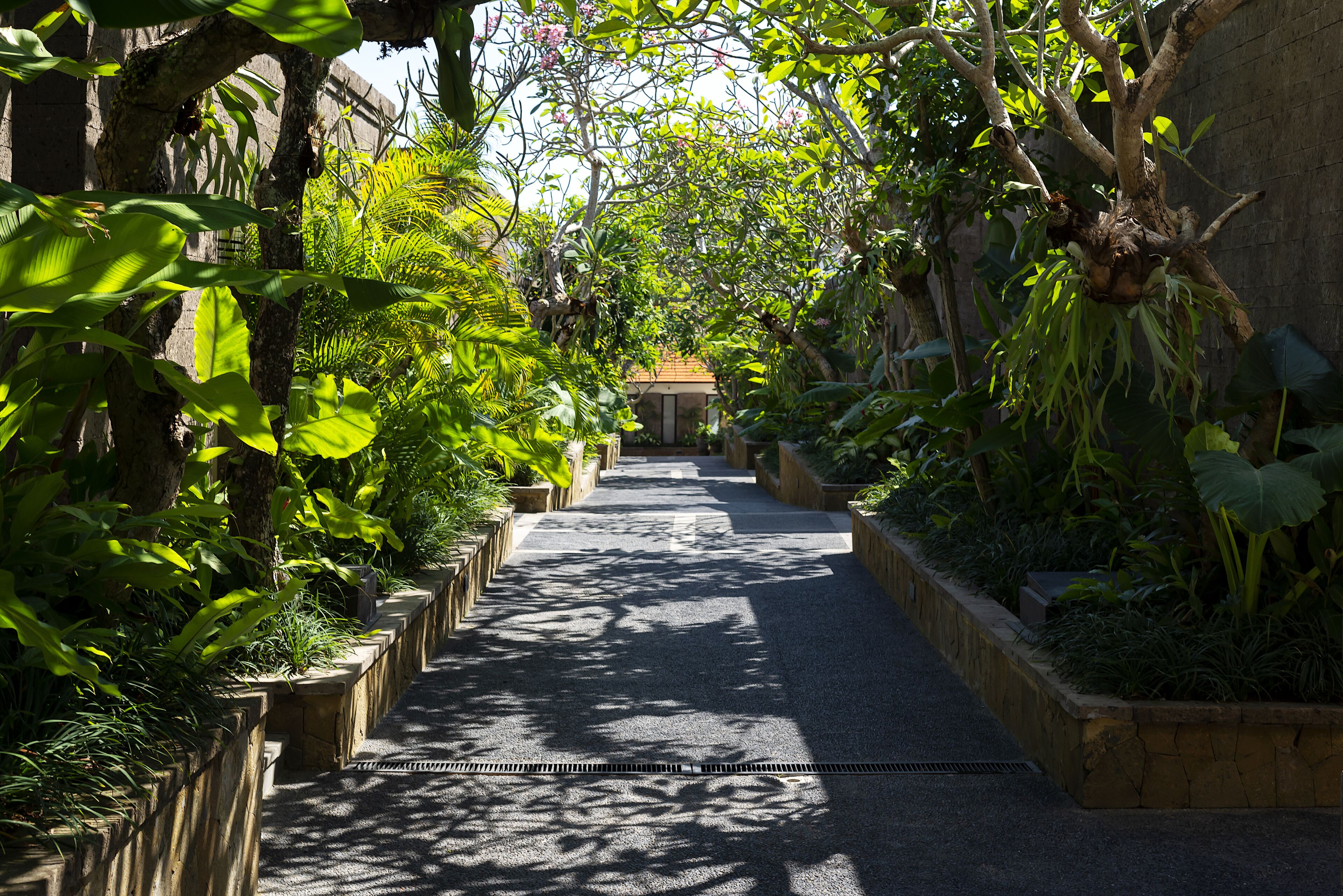 A narrow pathway flanked by lush greenery and stone planters, leading to a building with a tiled roof.