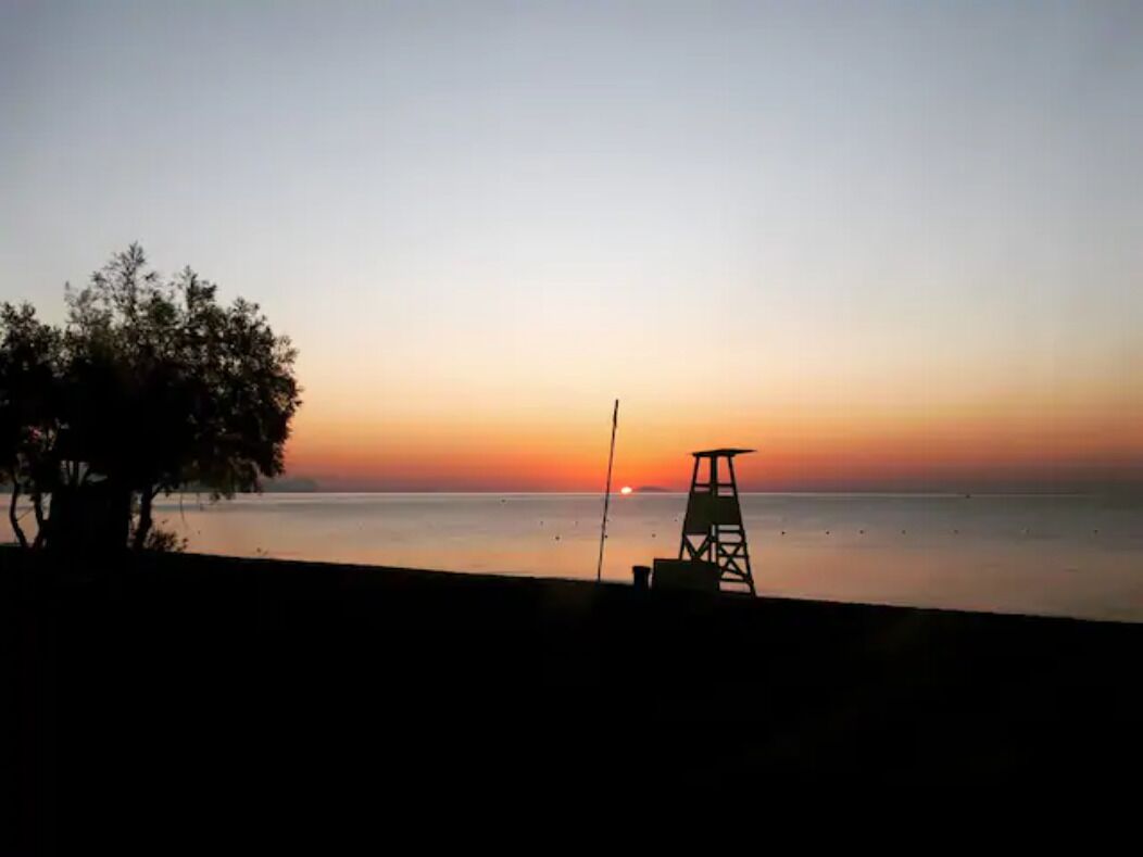 Photo - Dodo's Perivolos