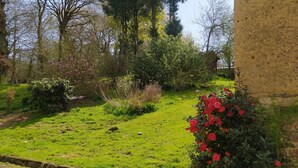 Un jardín con diversas plantas y árboles, un sendero pavimentado y un edificio al fondo.