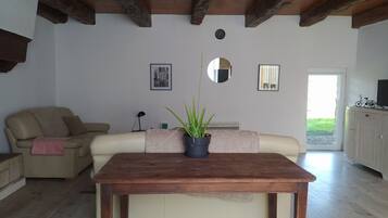 Télévision, cheminée, livres