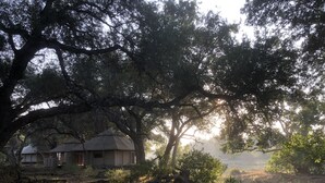 A rustic cabin with a dirt path leading to it, surrounded by dense trees and greenery. - Koro River Camp  (Tuli Lodge)
