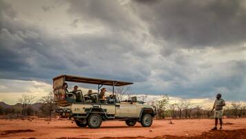 Safari