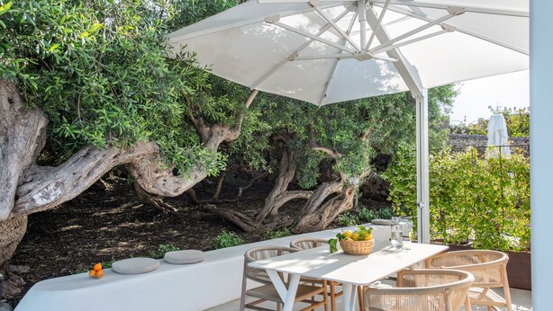 An outdoor patio with a white table and wicker chairs, surrounded by greenery and a large tree trunk. - Vico San Lorenzo - Camere a Salina (Malfa)