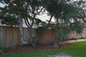 Enjoy a serene backyard oasis with a palm tree, a large tree, and a well-manicured lawn.