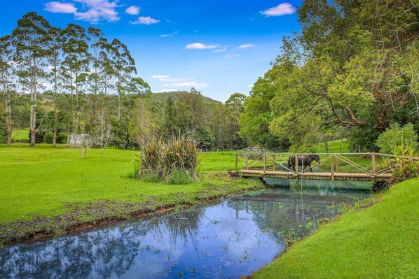 Un paysage paisible avec un étang, un pont en bois et une zone herbeuse parsemée d’arbres.