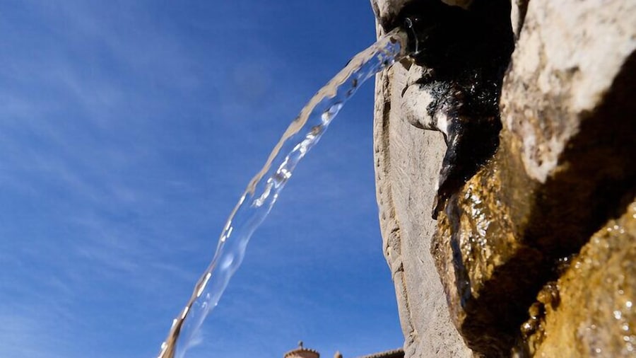 Los Apartamentos del Palacio