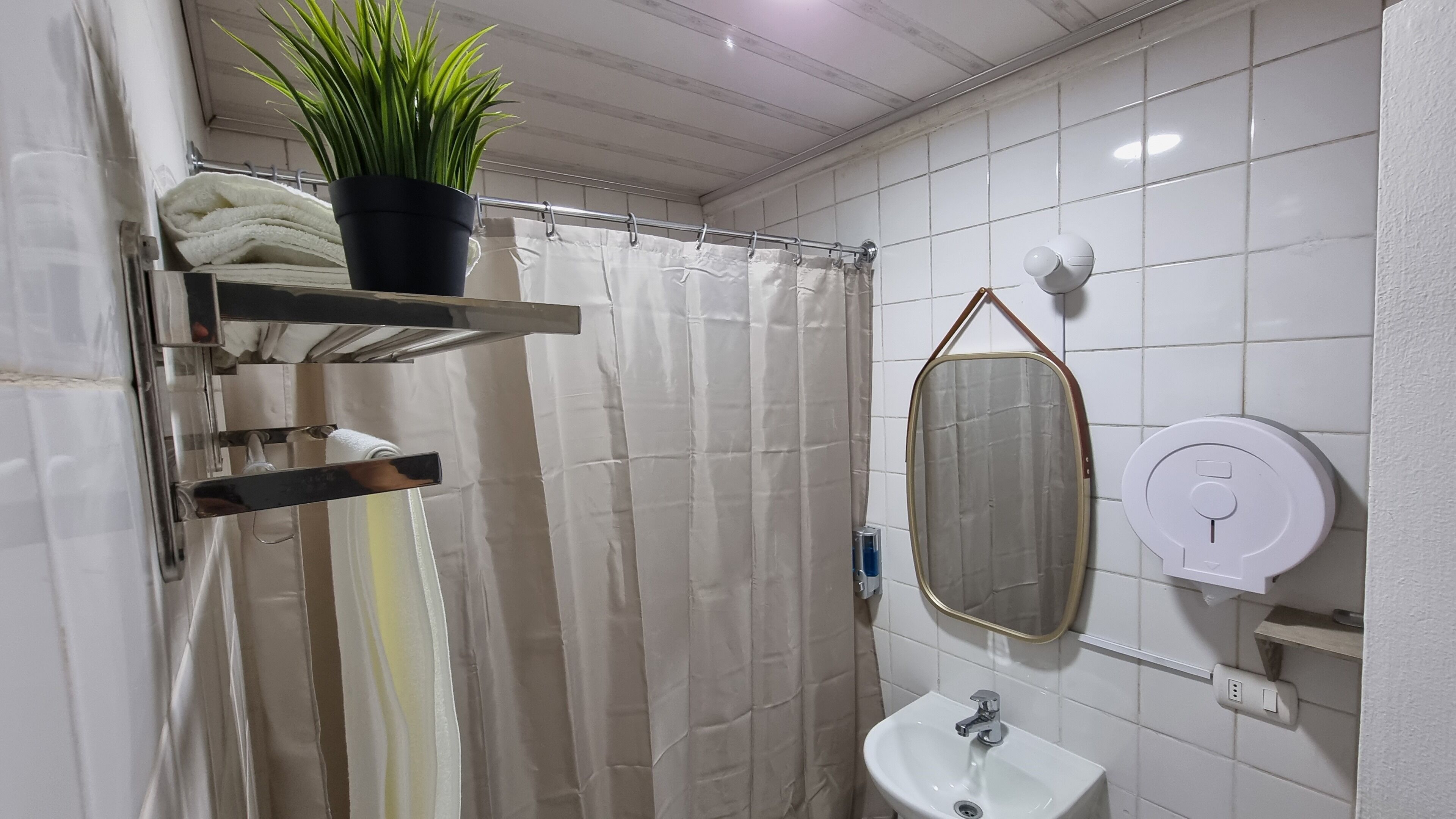 A bathroom with a shower curtain, a sink, a mirror, a towel rack, and a potted plant.
