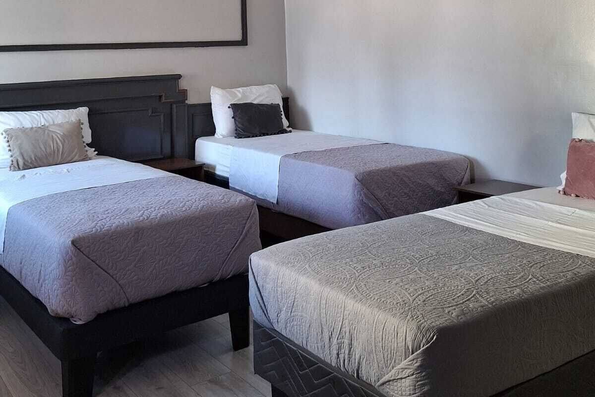 A modern hotel room with two single beds, a large window, and a minimalist design.