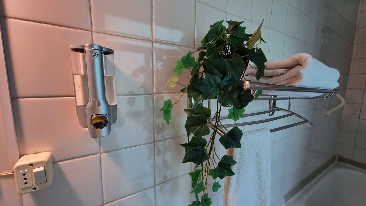 Un baño con un perchero, un enchufe en la pared y una planta en maceta.