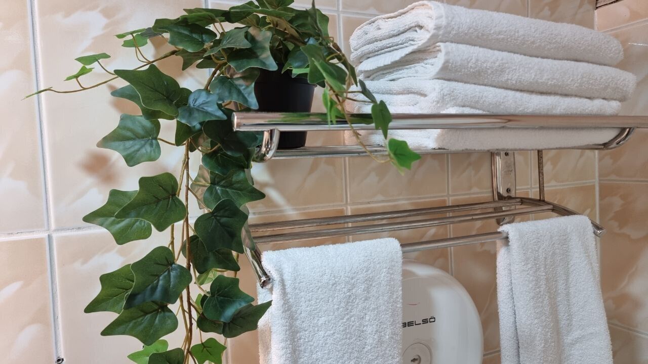 Un baño con un perchero con toallas dobladas, una planta en maceta y un inodoro.