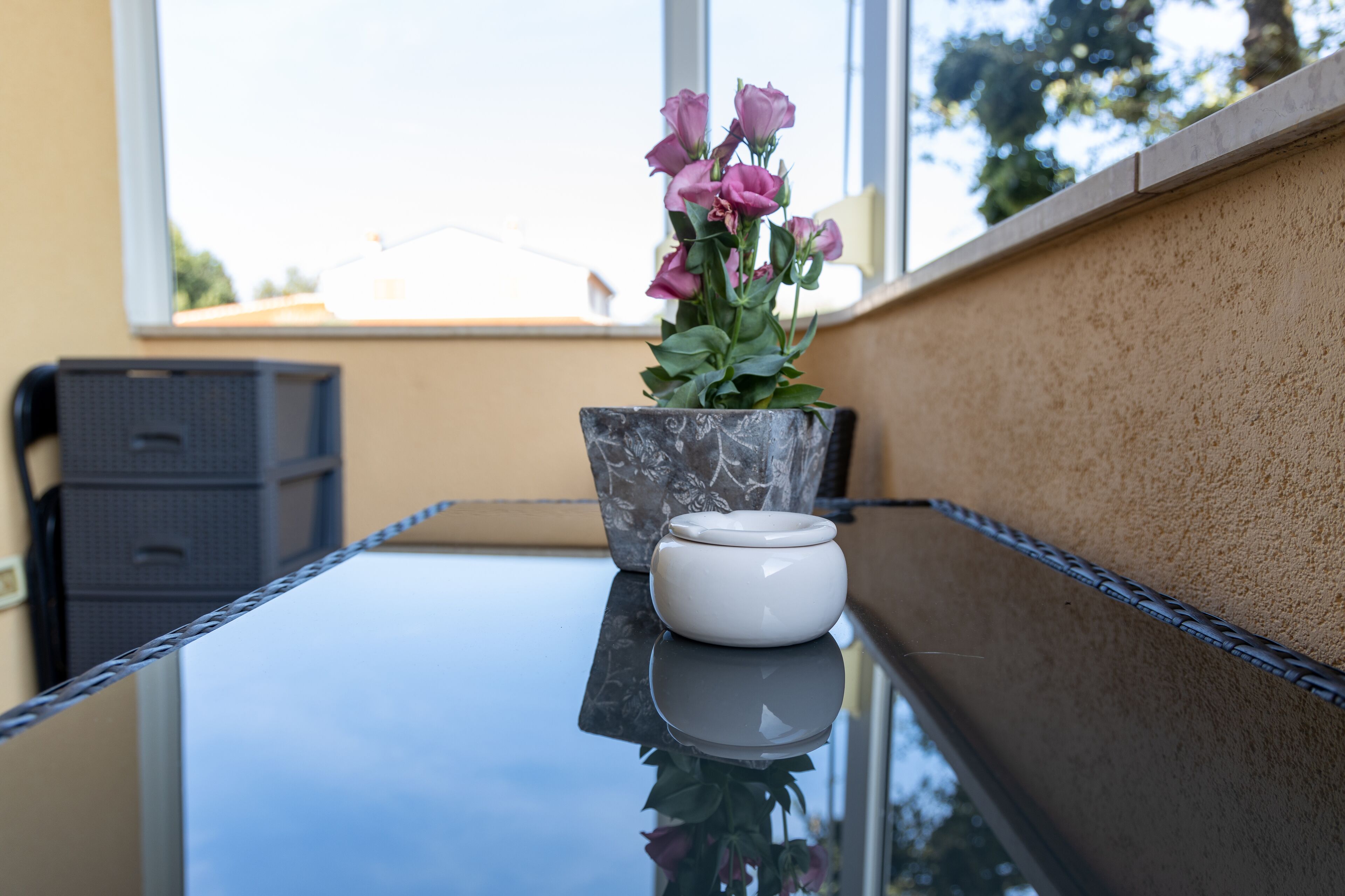 A table with a potted plant and a white container.