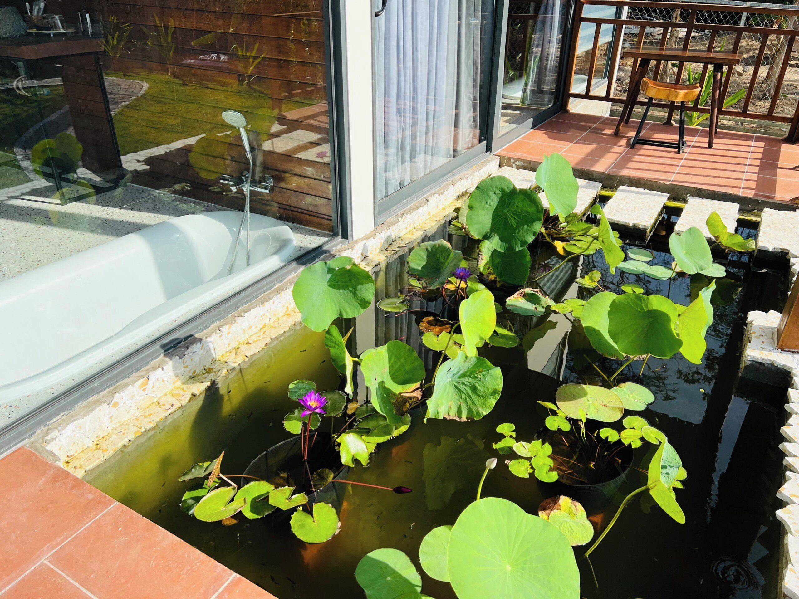 A small pond with water lilies and a wooden bench on a tiled patio.